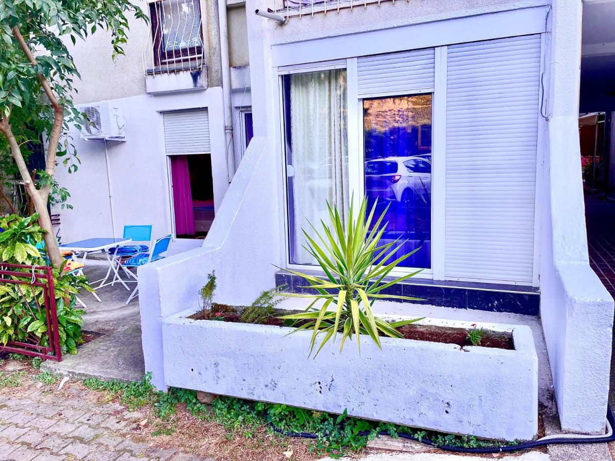 Dorotea Butterfly Budva Exterior foto